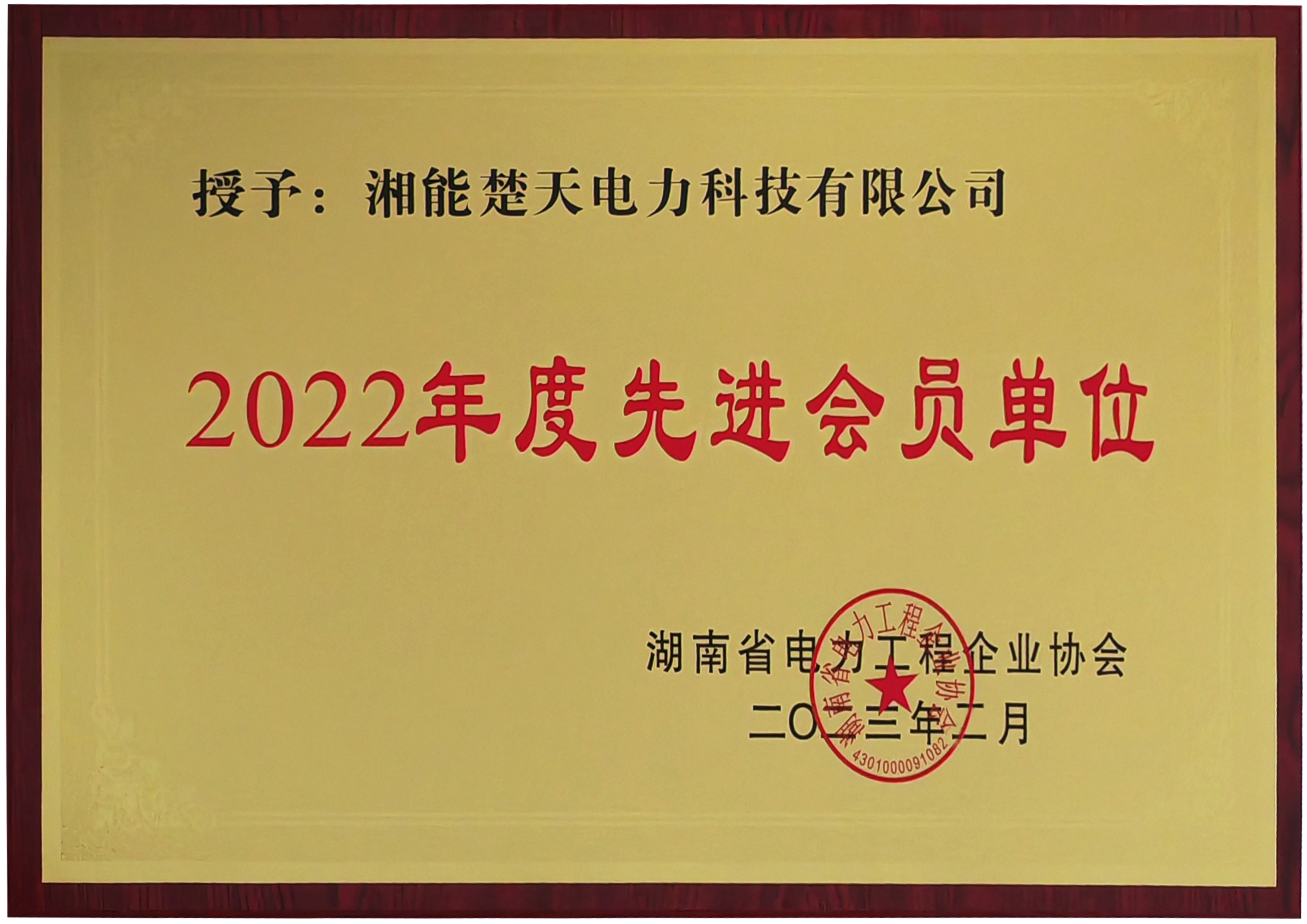 2022年度先進會員單位